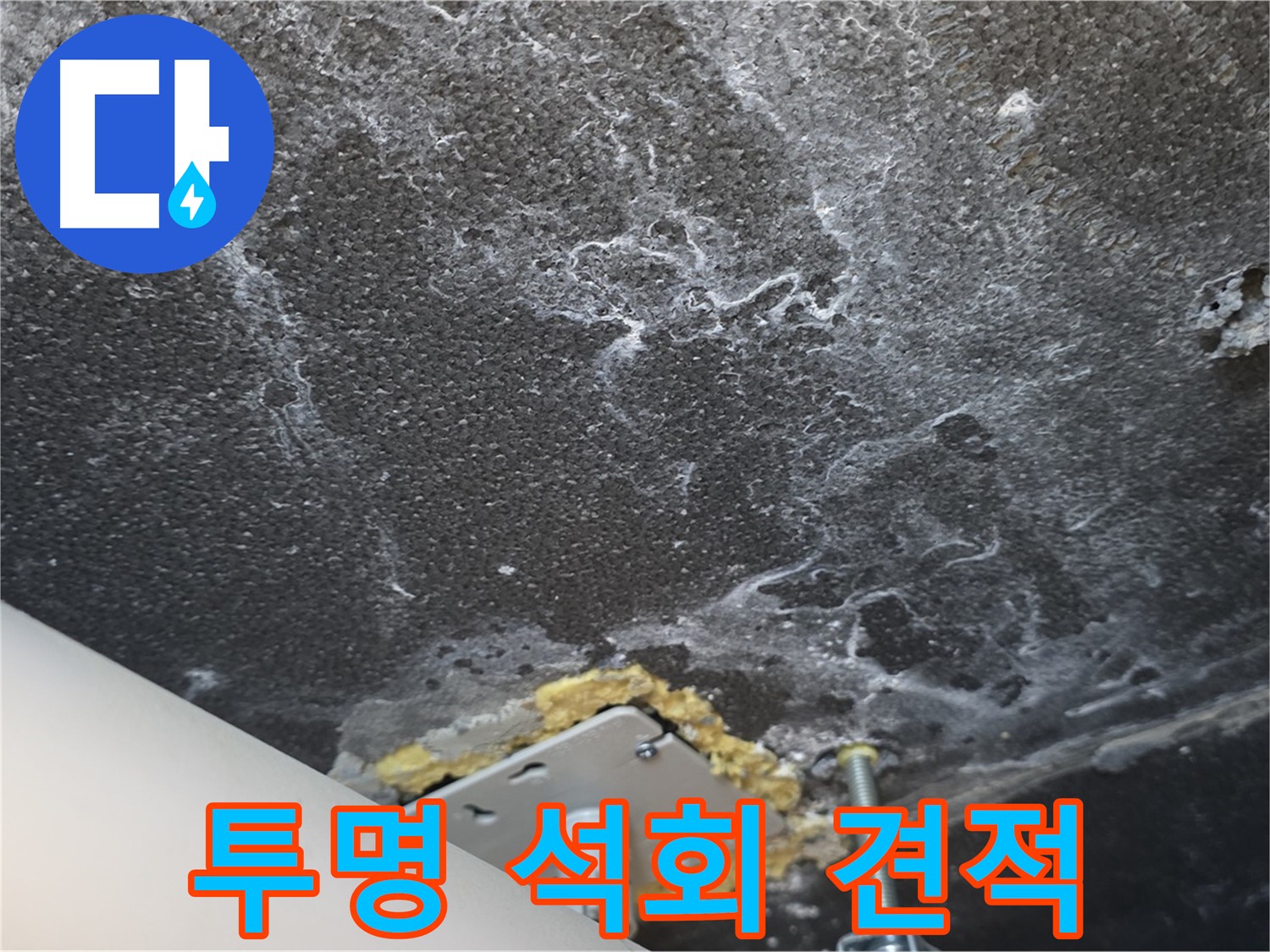 파주시 동패동 누수 - 석회 관련 투명하고 합리적인 견적 제공