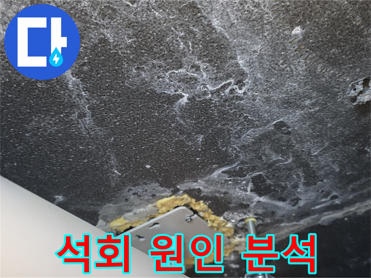 파주시 동패동 아파트 누수 - 천장 석회 누수 원인 정밀 분석 과정