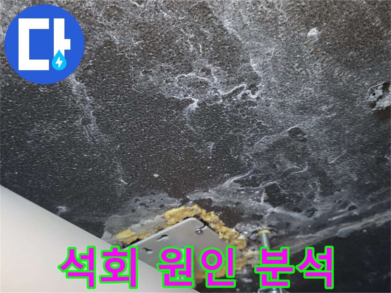 파주시 동패동 아파트 누수 - 천장 석회 누수 원인 정밀 분석 과정
