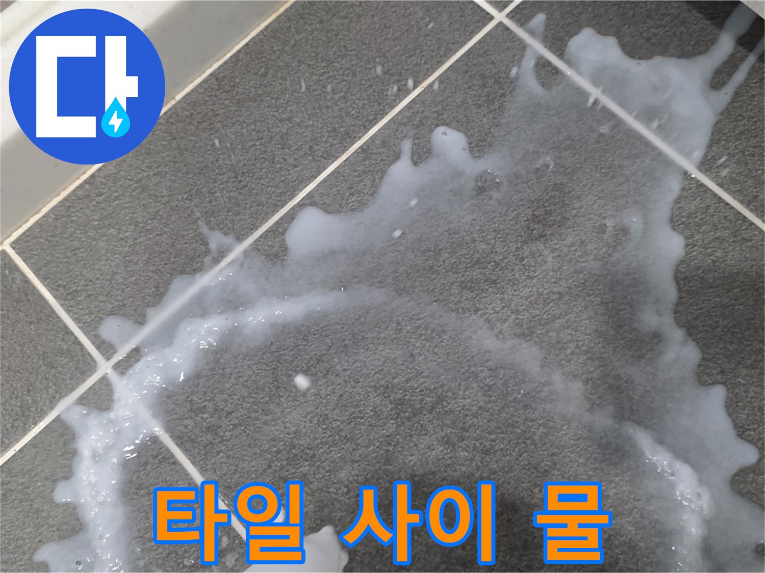 파주시 동패동 운정어반프라임 1201동 아파트 타일 사이 물기 - 초기 누수 발견, 신속한 누수탐지로 해결합니다.