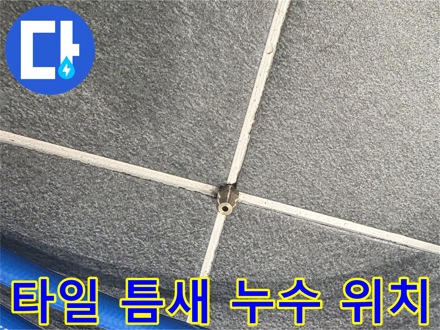 파주시 동패동 운정어반프라임 아파트 누수 - 타일 틈새의 정확한 누수 위치를 확인하고 있습니다.