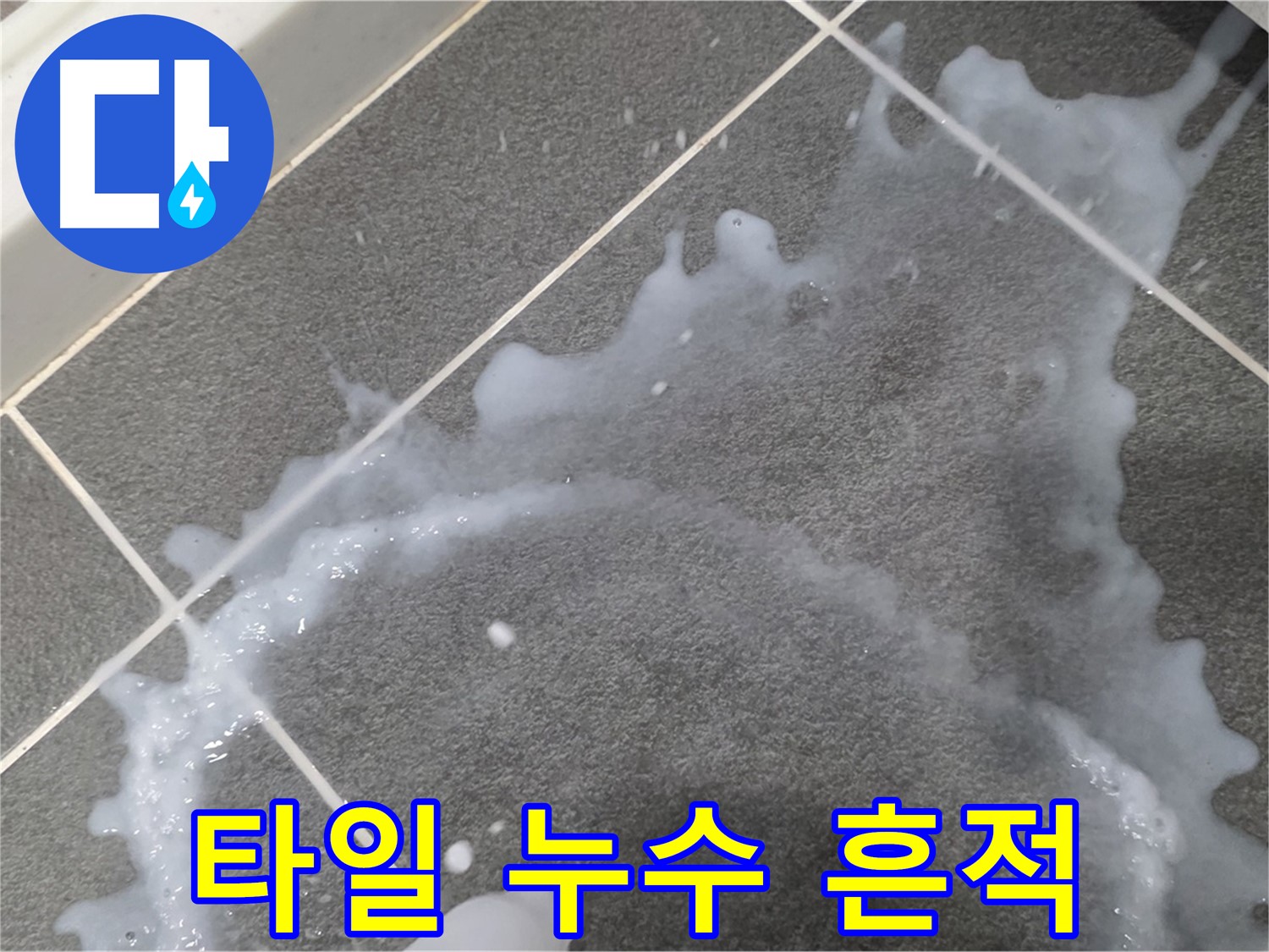 파주시 동패동 운정어반프라임 아파트에서 발생한 타일 사이 누수 흔적 - 누수탐지 전문가가 정확한 원인을 파악하고 해결합니다.