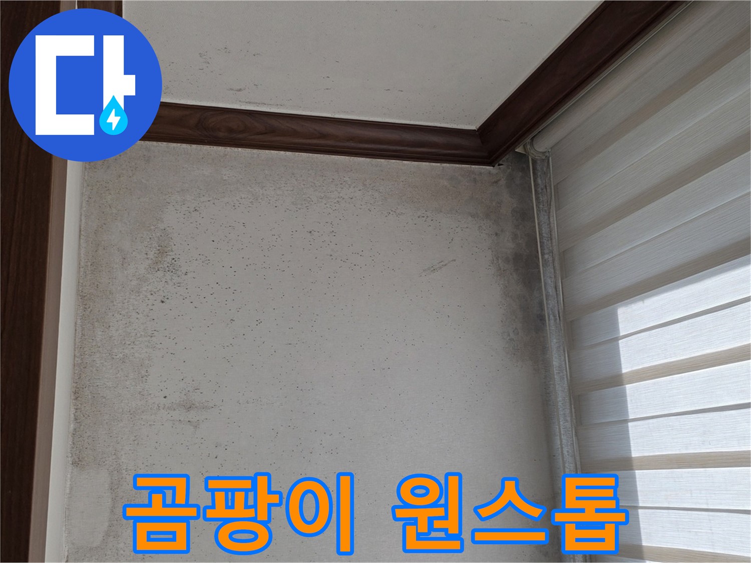 노원구 중계2동 현대5차 곰팡이 누수 - 원스톱 솔루션으로 완벽하게 해결