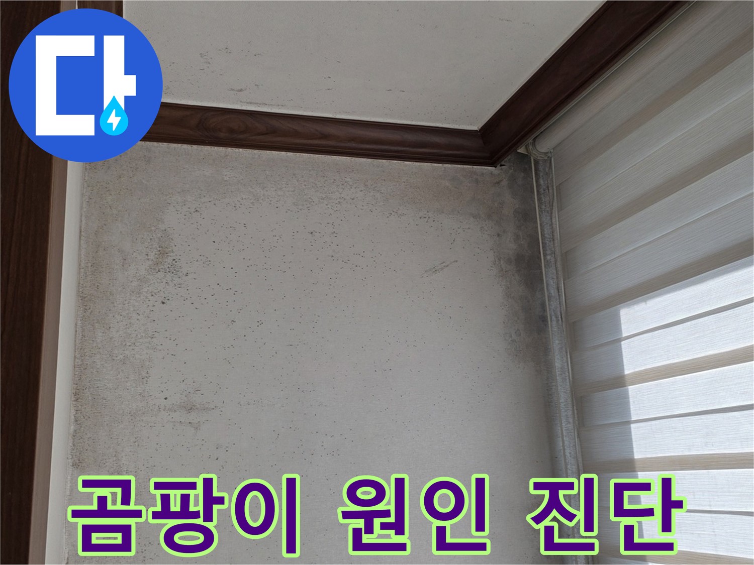 노원구 중계동 현대5차 곰팡이 누수 - 원인 진단 및 완벽 해결 책임 시공