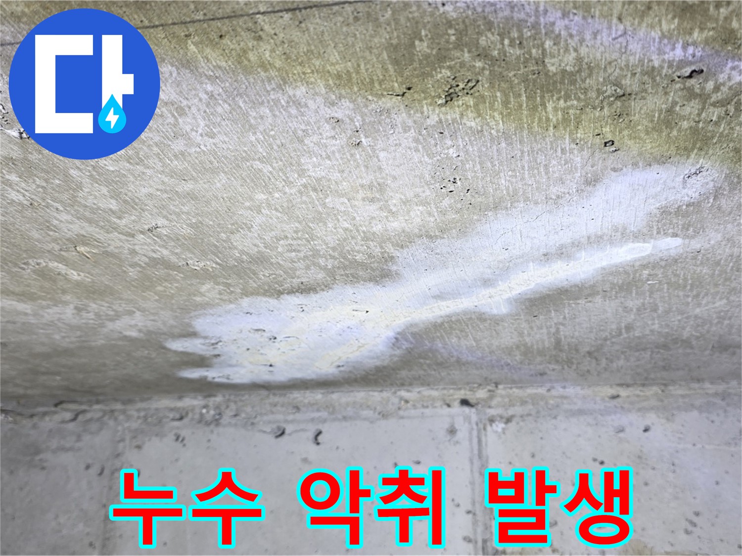 노원구 중계동 현대5차 - 누수 악취 발생 - 쾌적한 환경 저해