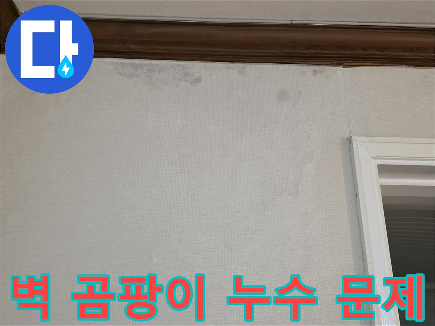 노원구 중계동 현대5차 아파트 벽 곰팡이 문제 - 누수탐지를 통한 원인 해결 과정 소개