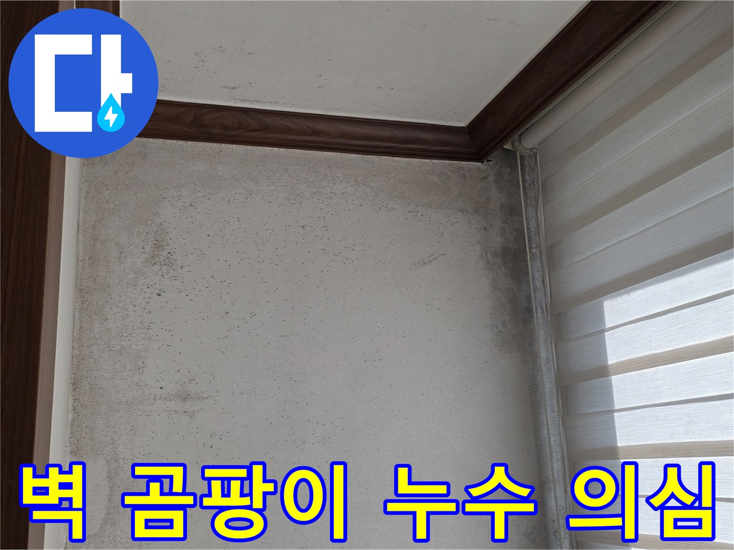 노원구 현대5차 아파트 벽 곰팡이 - 누수 의심 부위 정밀 검사 및 진단