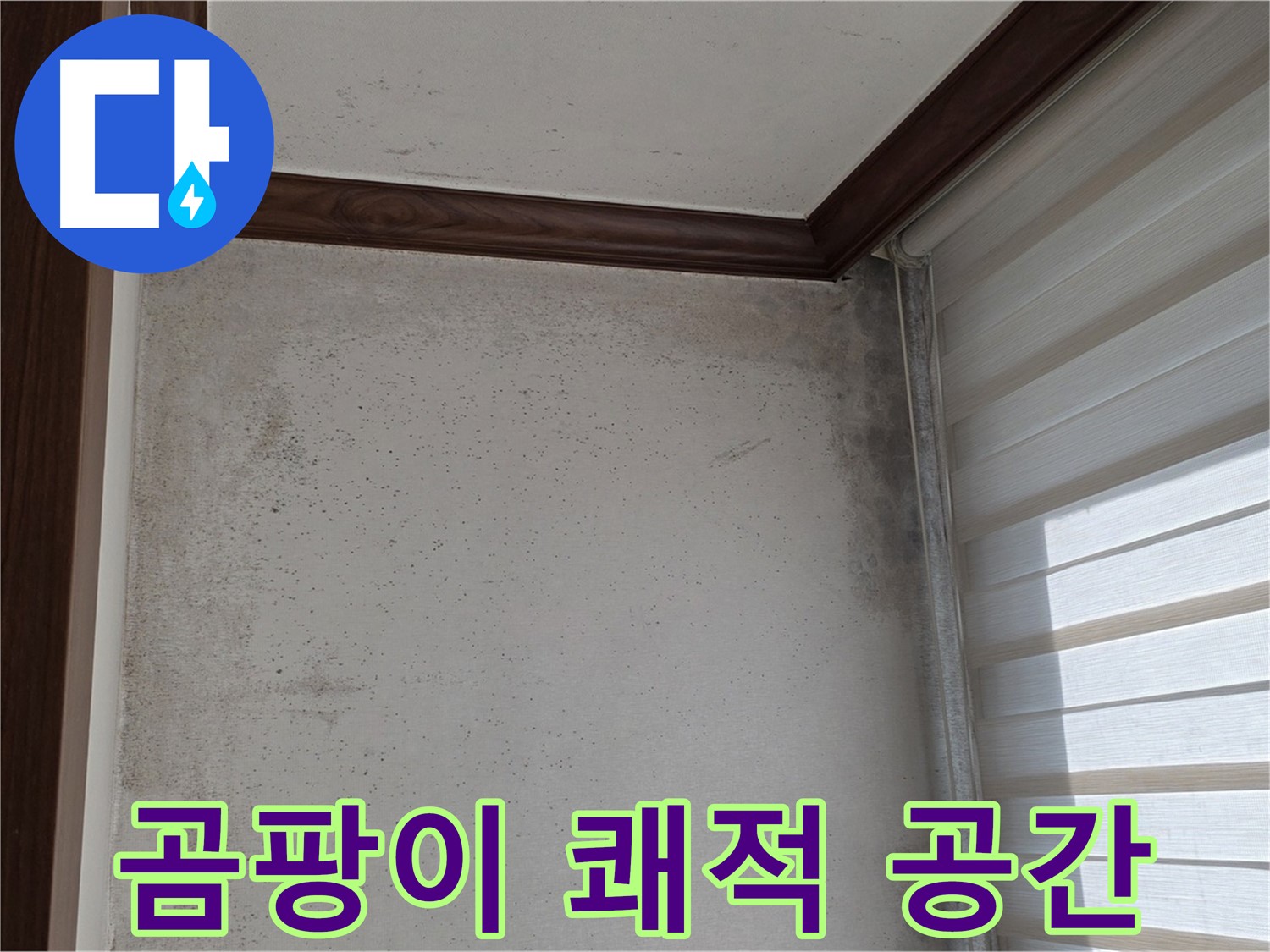 중계2동 현대5차 곰팡이 누수 - 곰팡이 없는 쾌적한 공간으로 변신