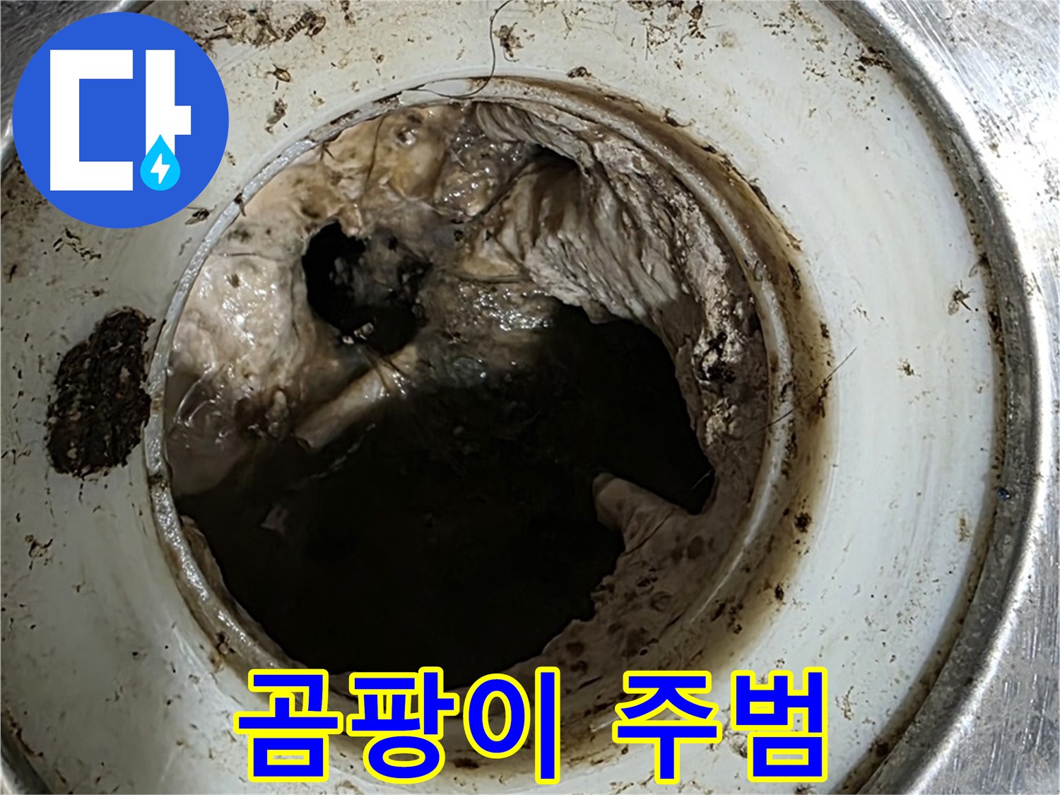 중계동 현대5차 211동 누수 - 배수구 속 곰팡이 - 냄새의 주범!