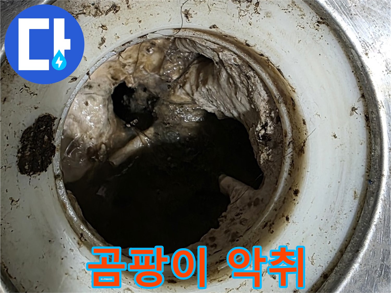 중계동 현대5차 211동 누수 - 배수구 속 곰팡이와 찌꺼기 악취