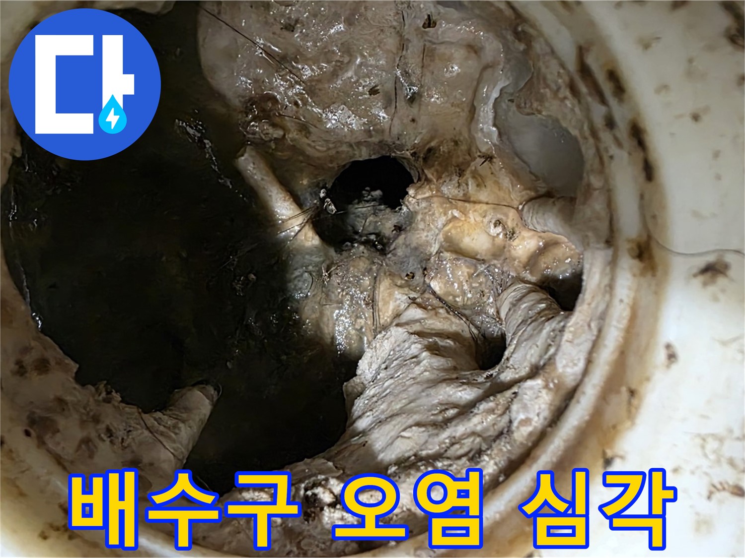 중계동 현대5차 211동 싱크대 배수구 내부 오염 - 누수 위험 경고