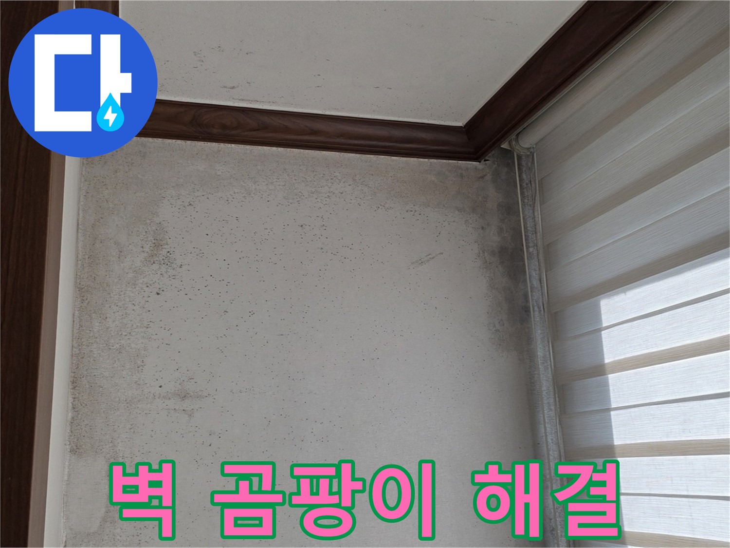 중계동 현대5차 벽 곰팡이 - 누수 문제 해결 후 깨끗해진 벽면