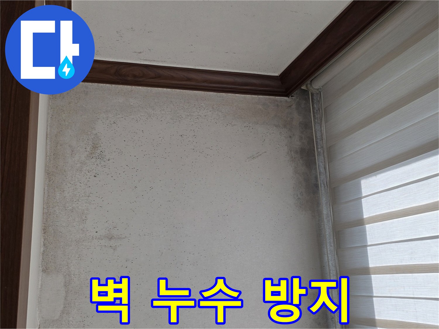 중계동 현대5차 벽 누수 - 전문적인 누수 방지 시공으로 재발 방지