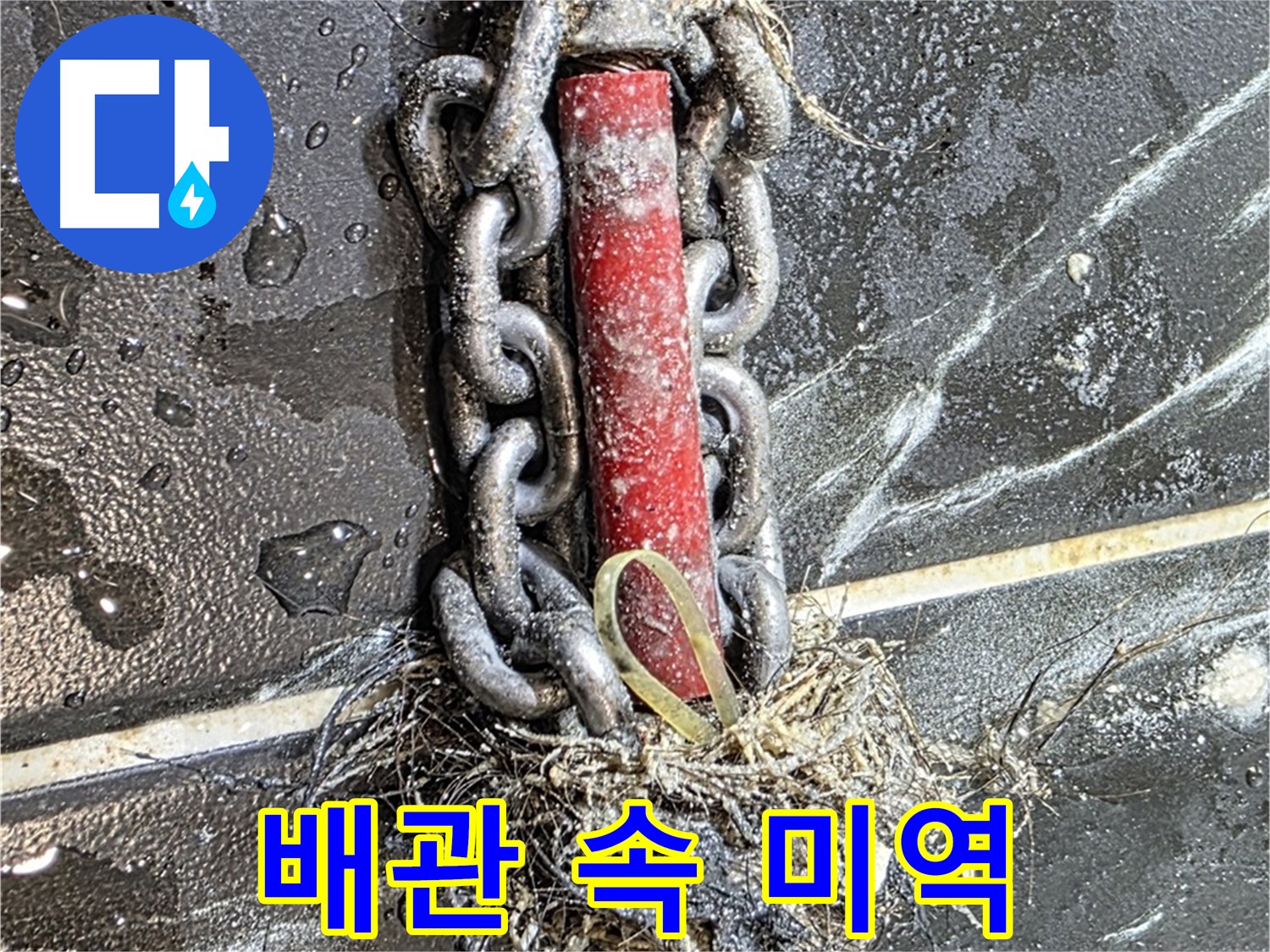중계동 현대5차 아파트 누수 - 배관 속 '미역'처럼 엉킨 머리카락과 섬유질