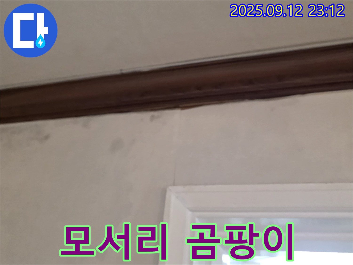 중계동 현대5차 아파트 벽 누수 - 곰팡이 핀 모서리