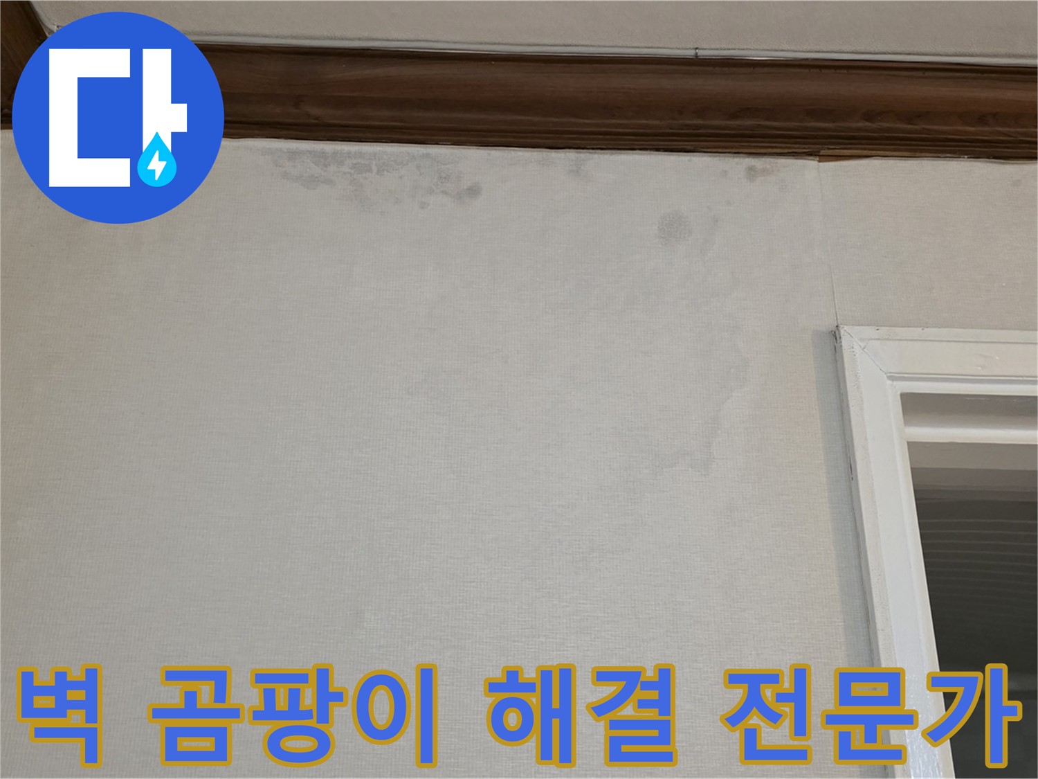 중계동 현대5차 아파트 벽 모서리 곰팡이 - 누수 문제 해결 전문가
