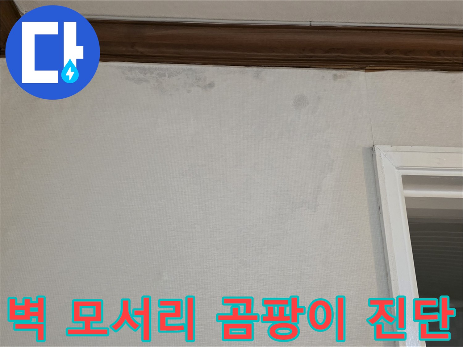 중계동 현대5차 아파트 벽 모서리 곰팡이 - 누수 전문가의 정확한 진단 및 해결