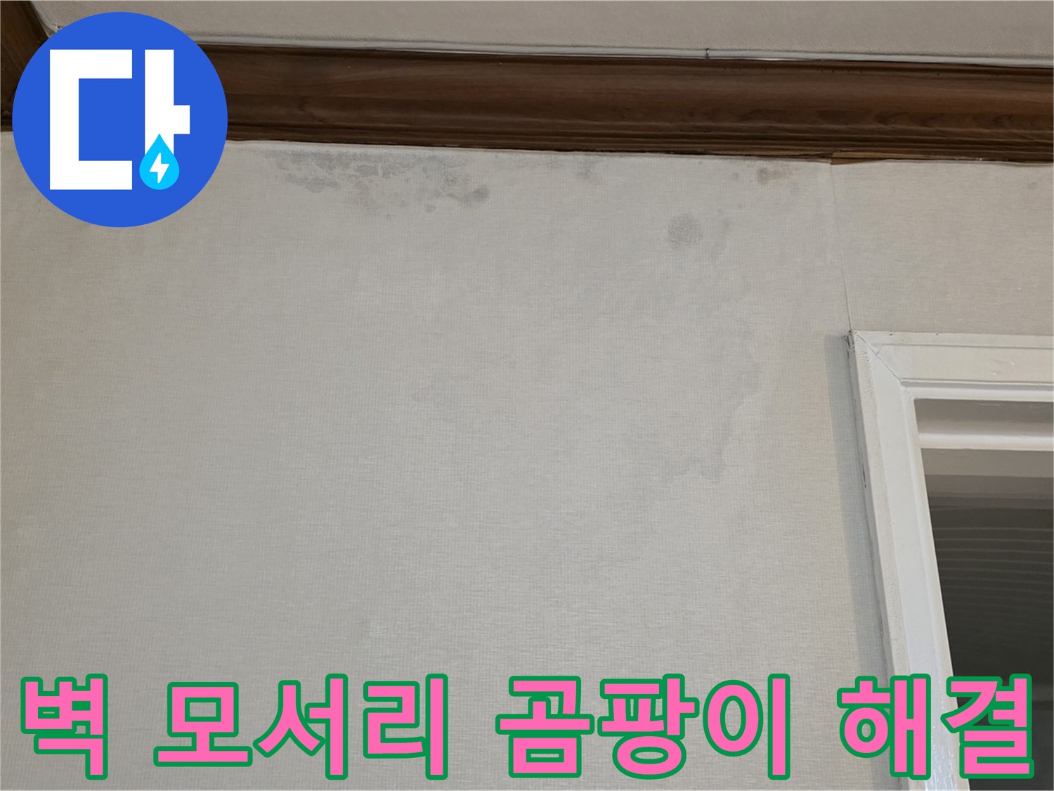 중계동 현대5차 아파트 벽 모서리 곰팡이 - 완벽한 누수 해결 및 곰팡이 제거 약속