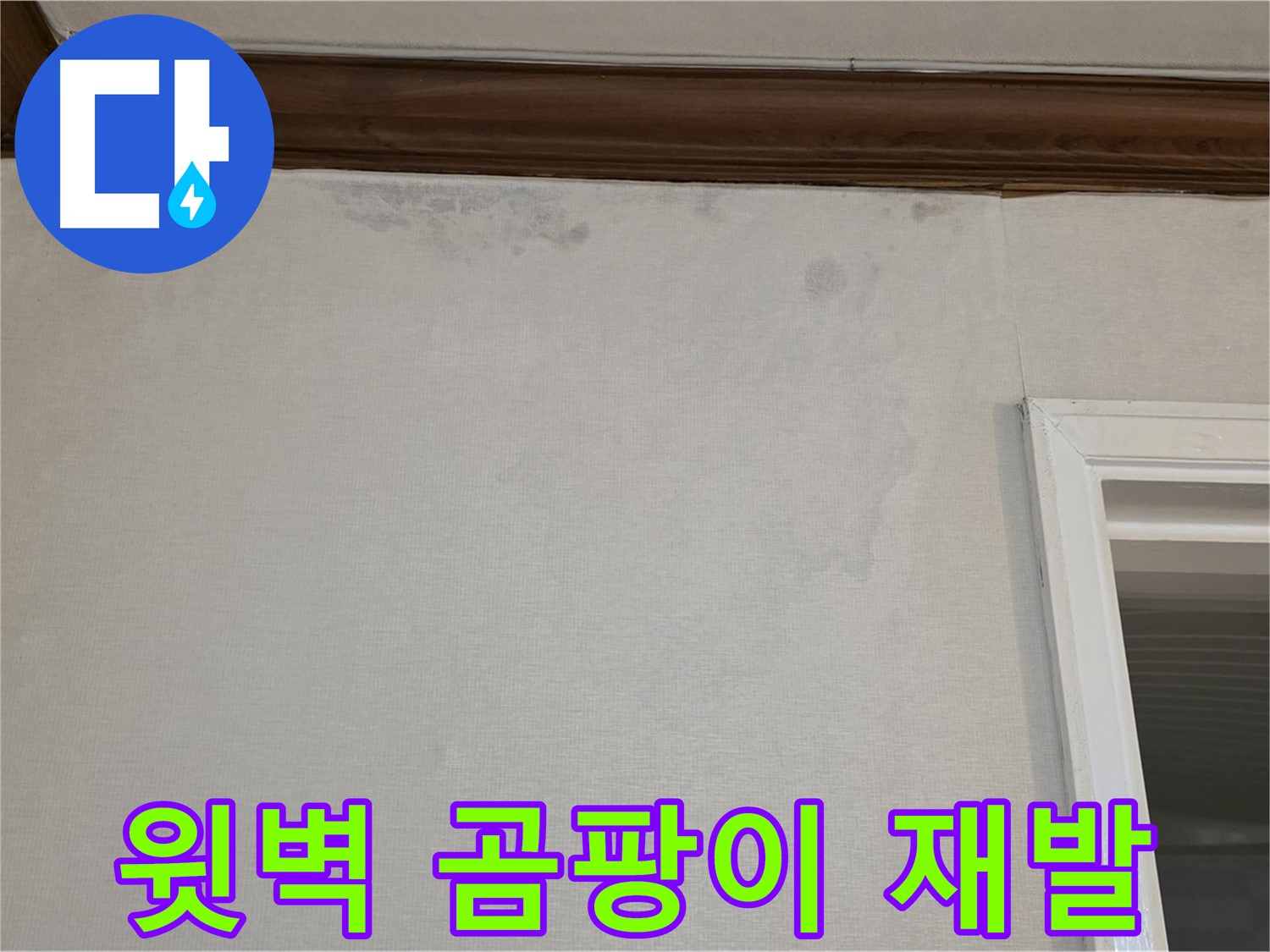 중계동 현대5차 아파트 윗벽 곰팡이 - 곰팡이 제거부터 재발 방지까지