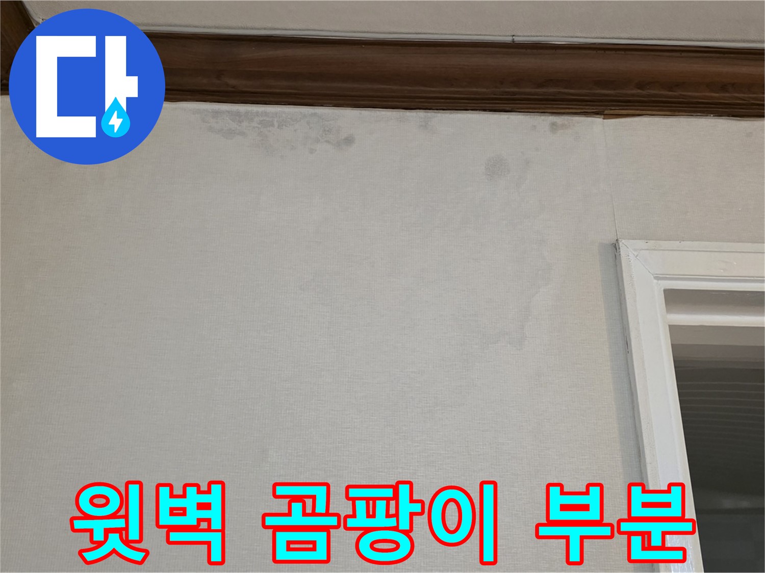 중계동 현대5차 아파트 윗벽 곰팡이 - 부분 공사로 비용 절감