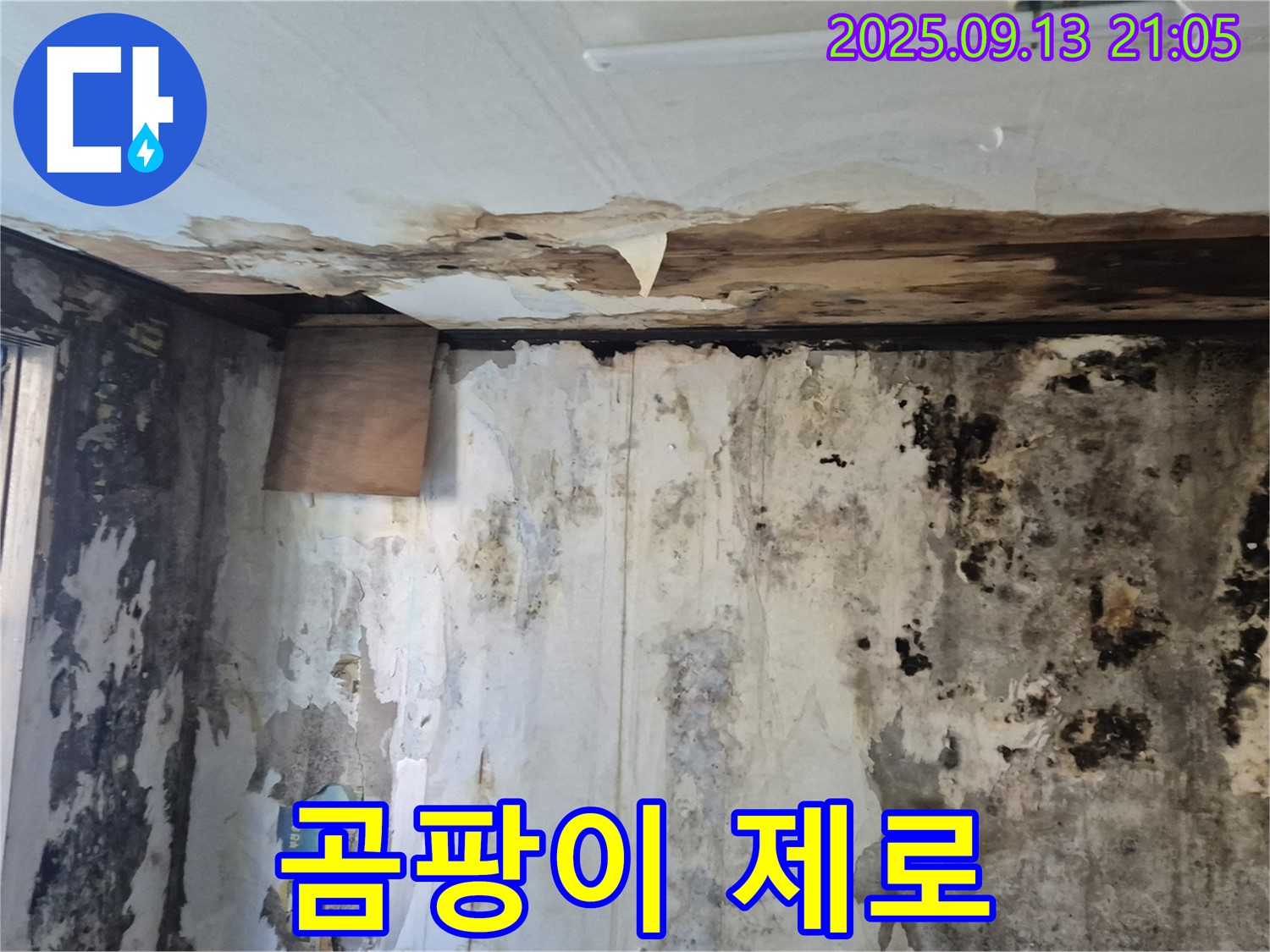 도봉구 덕릉로54가길 주택의 곰팡이 문제 해결 - 곰팡이 제로를 달성하고 쾌적 지수를 높인 모습을 보여주는 이미지입니다.