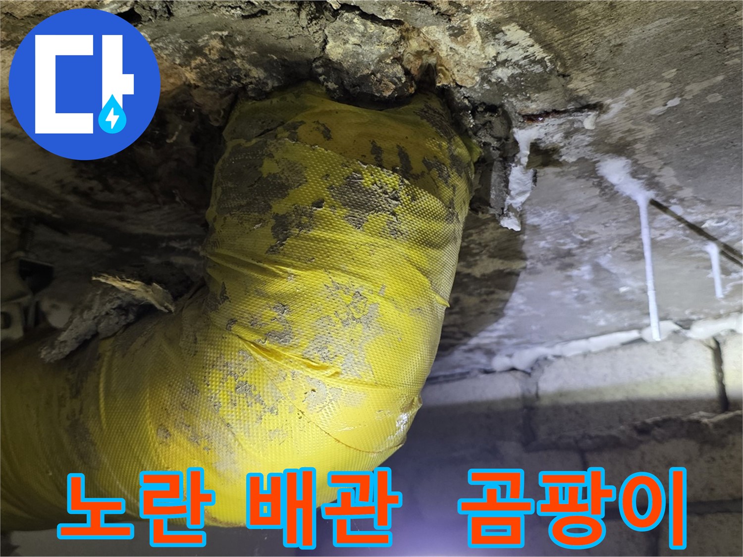 노란 배관의 공격, 곰팡이와 악취 - 신사동 새절역 인근 누수 해결 완료