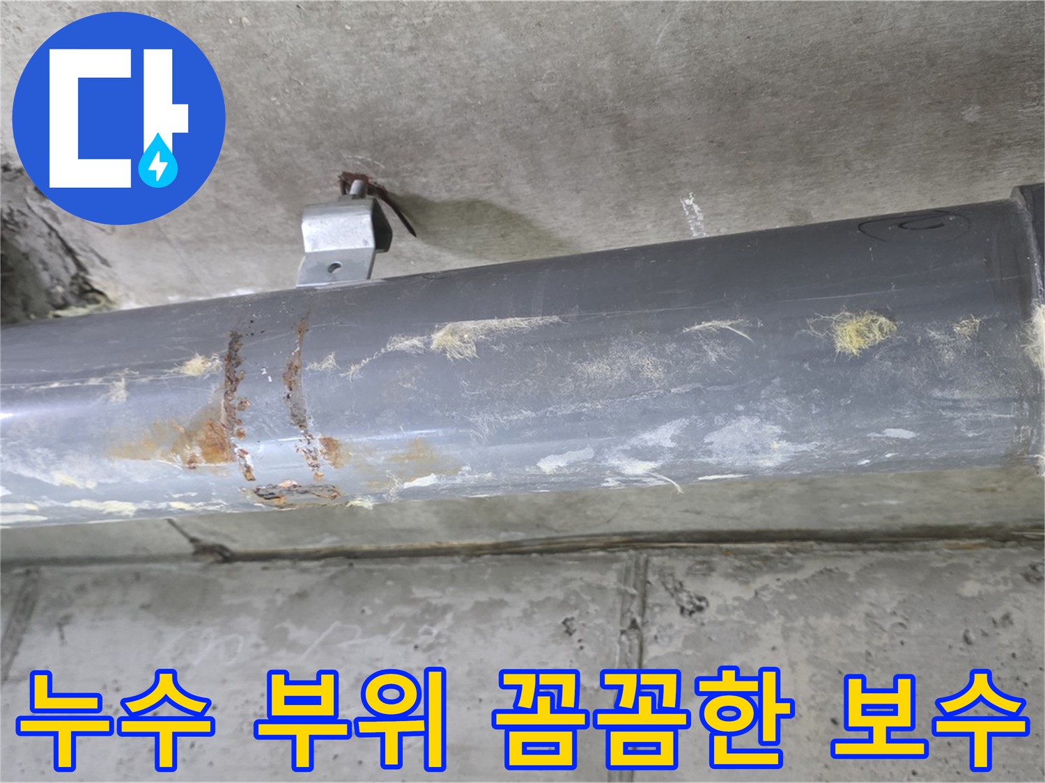 누수 부위 꼼꼼한 보수 - 누수 지점을 정확하게 찾아 꼼꼼하게 보수하여 재발을 방지합니다.