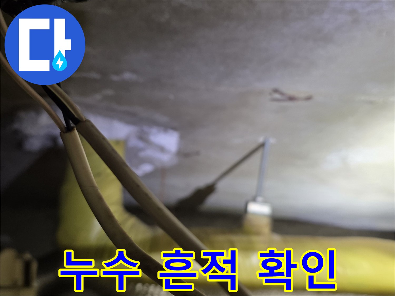 새절역 현대아파트 누수 - 천장 누수 흔적을 꼼꼼하게 확인 중