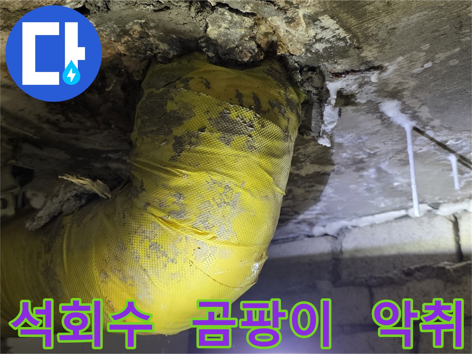 석회수 고드름, 곰팡이, 악취 - 신사동 새절역 인근 누수 긴급 해결
