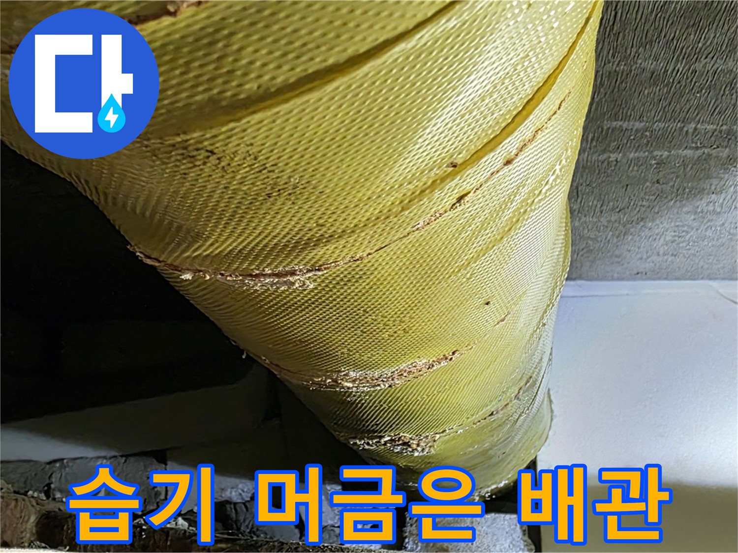 습기 머금은 배관 - 낡은 덮개 - 곰팡이 서식 위험