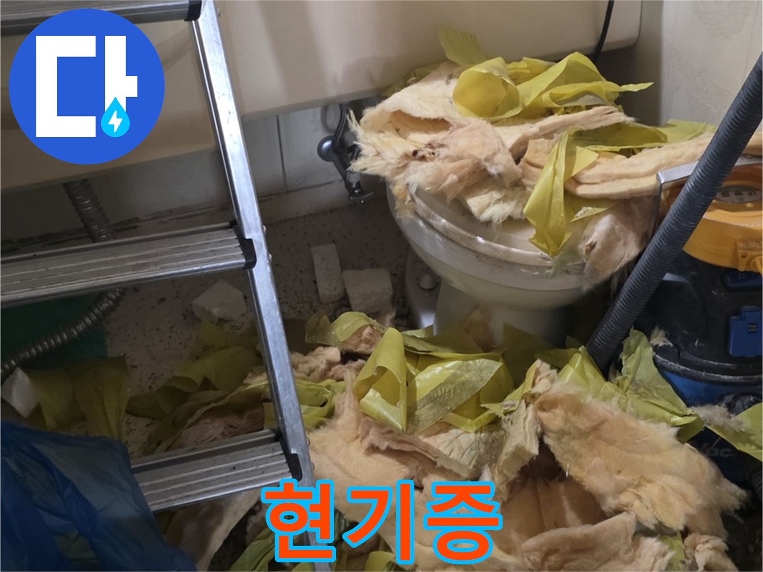 신사동 누수 현장 - 곰팡이 냄새 진동, 현기증 유발 - 건강 위협