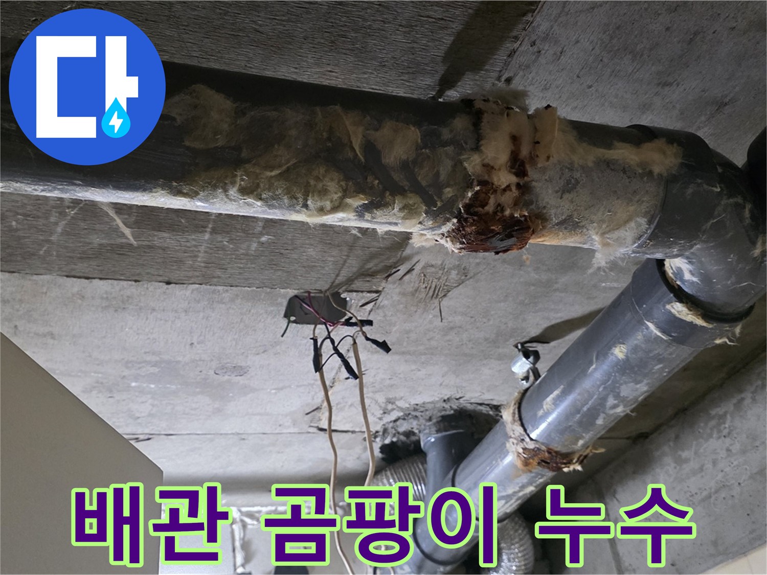 신사동 새절역현대아파트 누수 - 오수 배관 누수로 인한 곰팡이