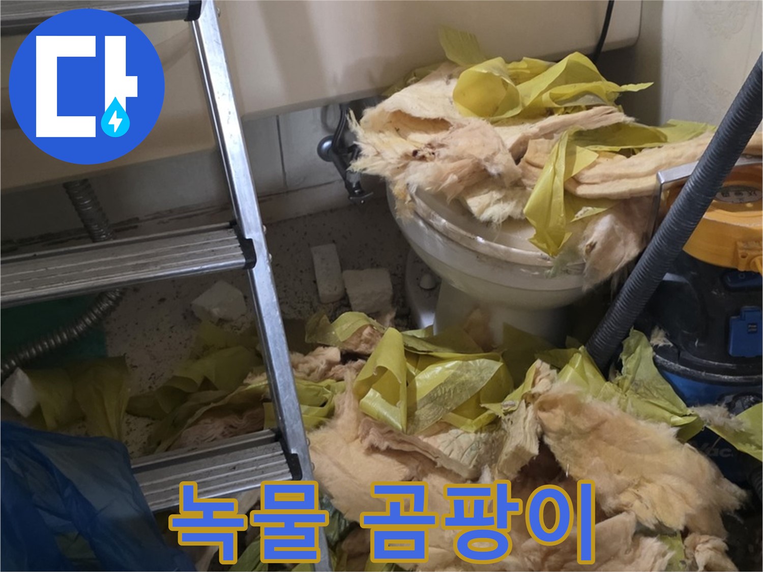 은평구 누수 현장 - 녹물과 곰팡이로 오염된 배관 - 수질 오염 비상