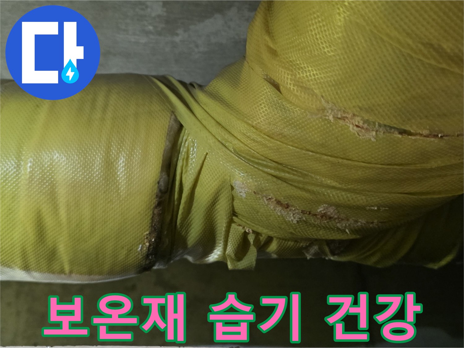 보온재 속 습기 - 건강 악화, 알레르기 유발 가능성