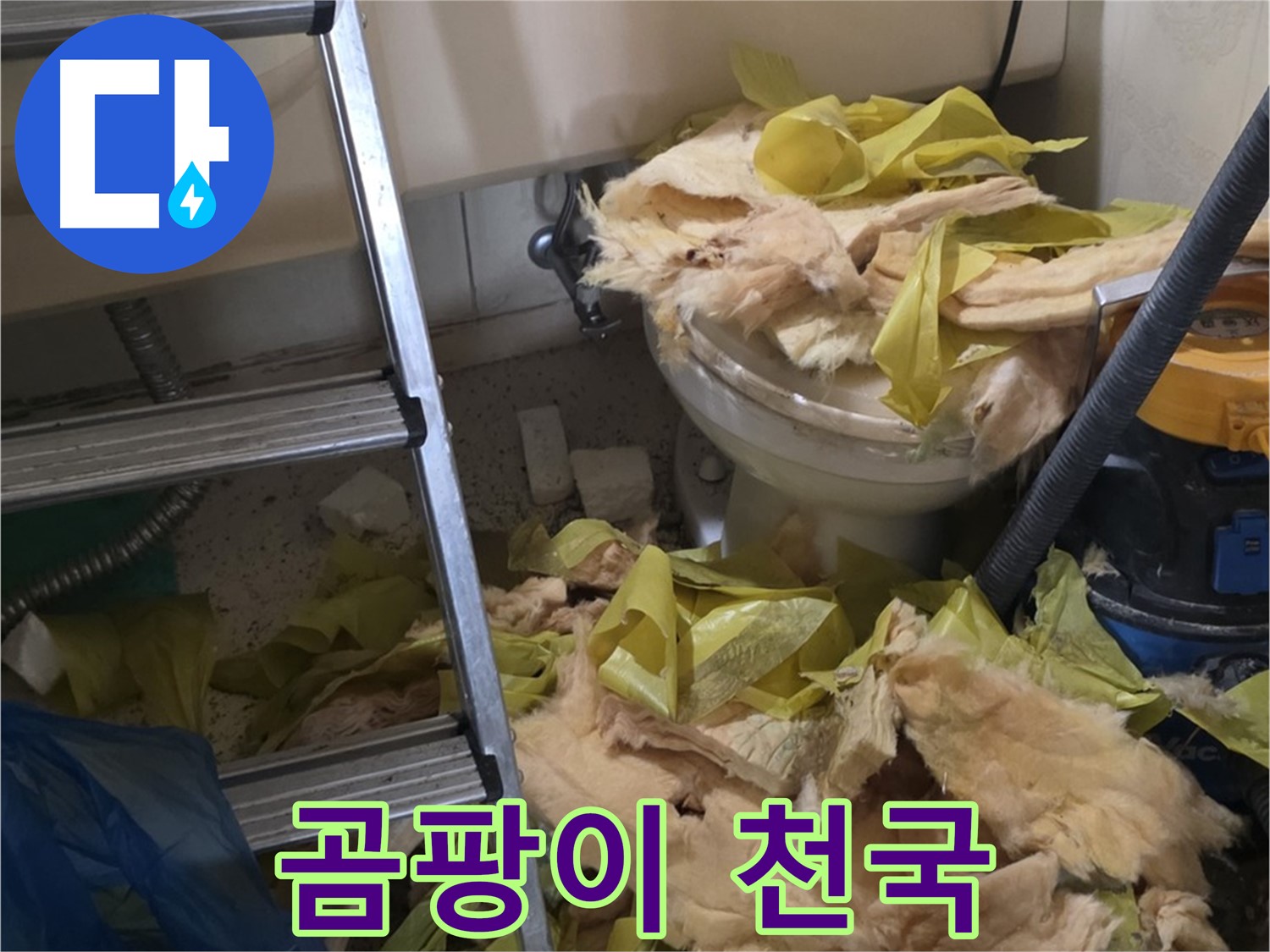 은평구 신사동 누수 - 곰팡이 천국 - 곰팡이 냄새에 숨 막혀 - 건강 위협