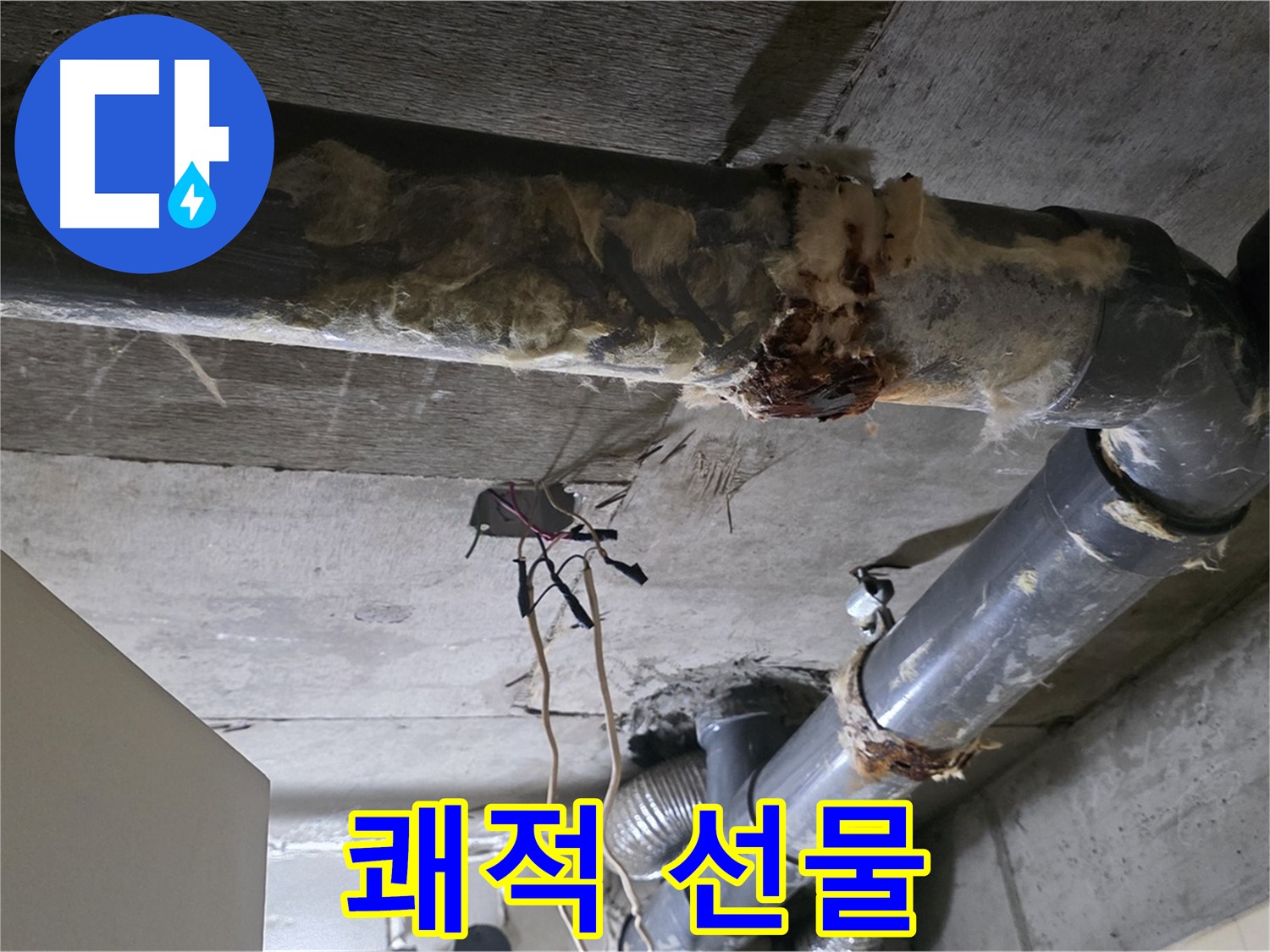 은평구 신사동 누수 - 곰팡이와 낡은 오수 배관 부식 - 쾌적한 환경 선물