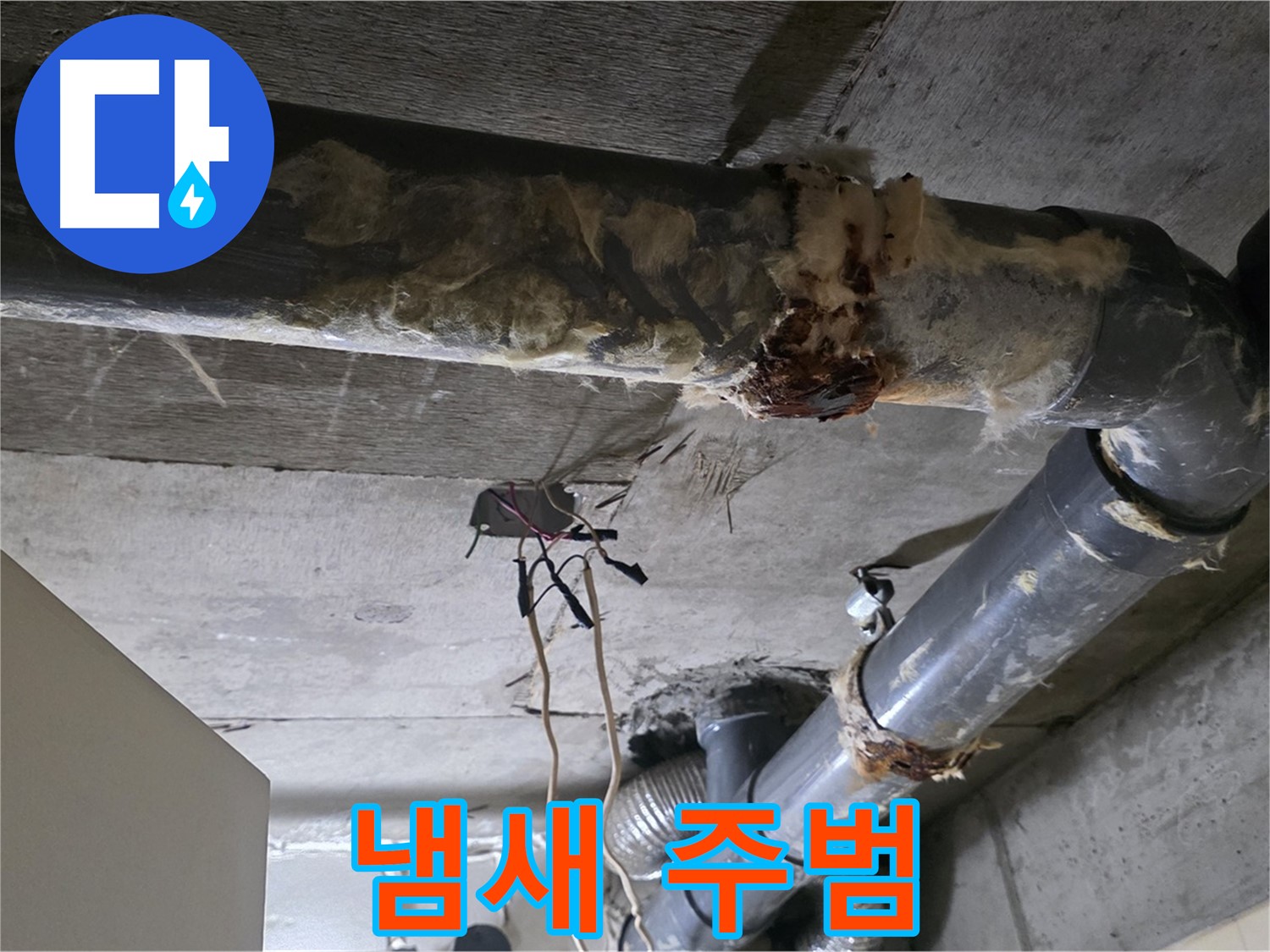 은평구 신사동 누수 - 낡은 오수 배관 - 퀴퀴한 냄새 주범