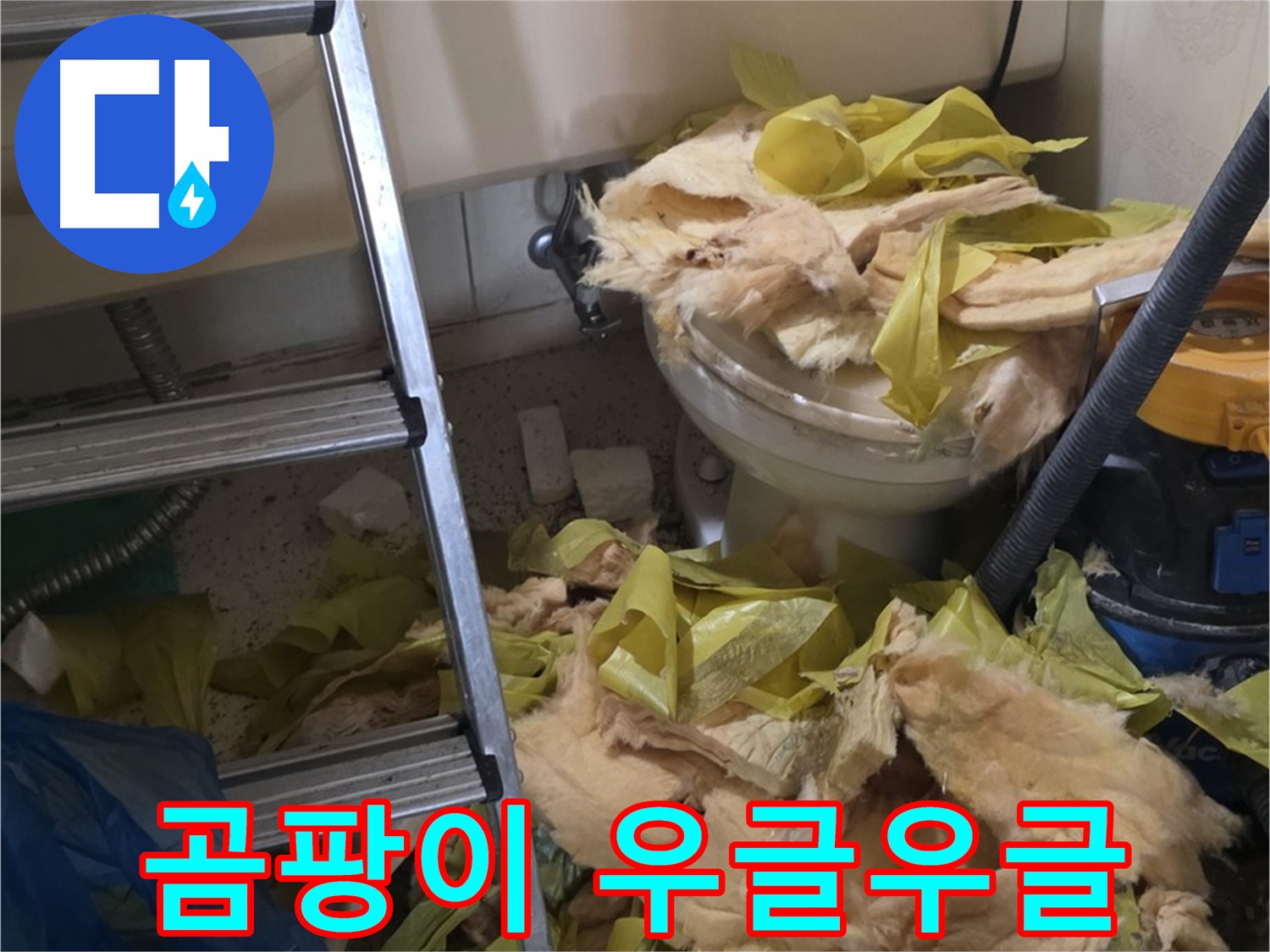 은평구 신사동 누수 - 새절역현대아파트 곰팡이 우글우글 - 건강 위협