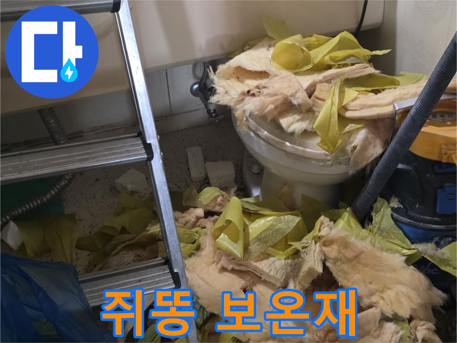 은평구 신사동 누수 - 쥐똥으로 오염된 엉망진창 보온재 - 비위생적