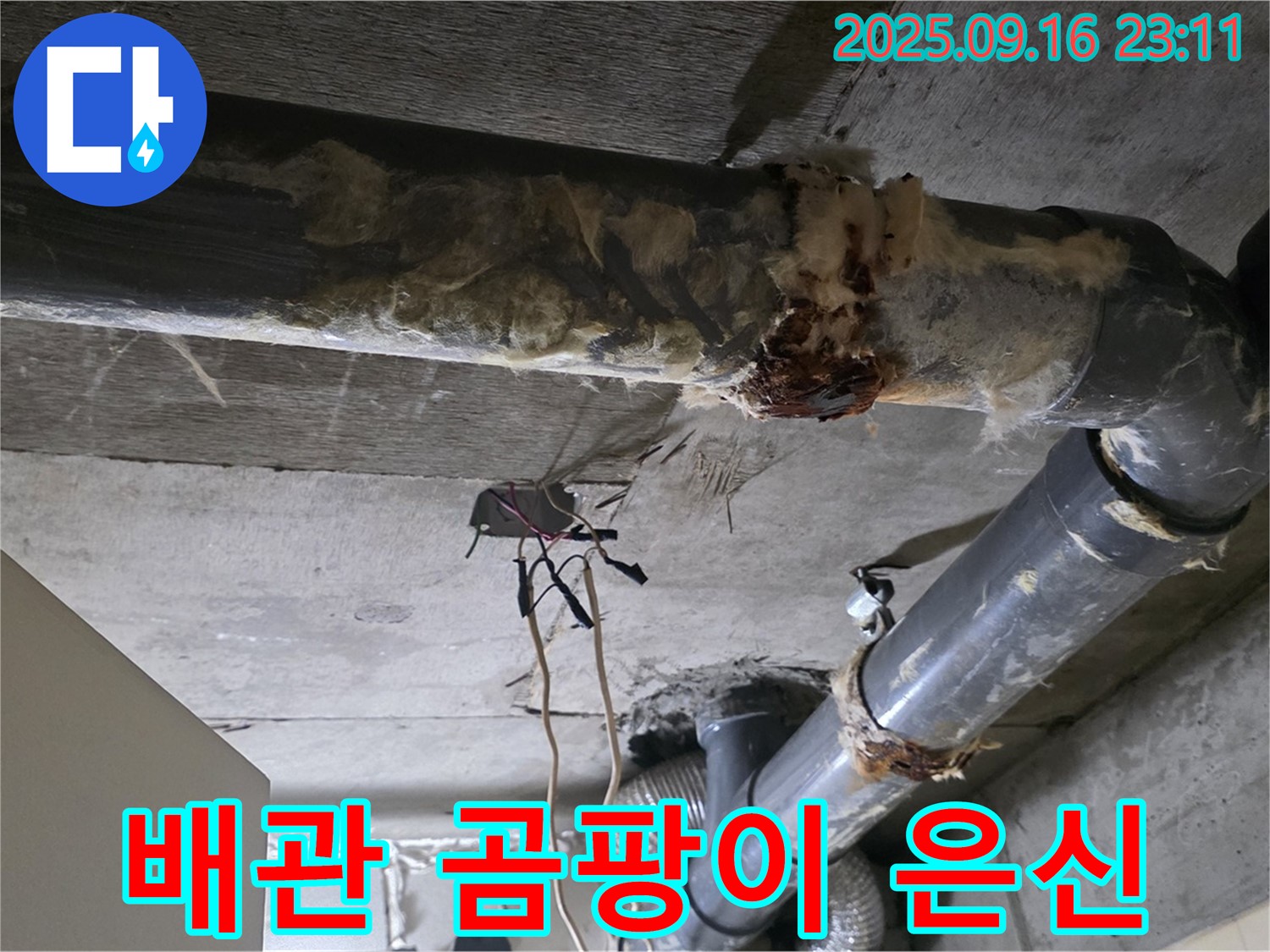 은평구 신사동 새절역 현대아파트 누수 - 낡은 배관은 곰팡이의 좋은 은신처가 됩니다.