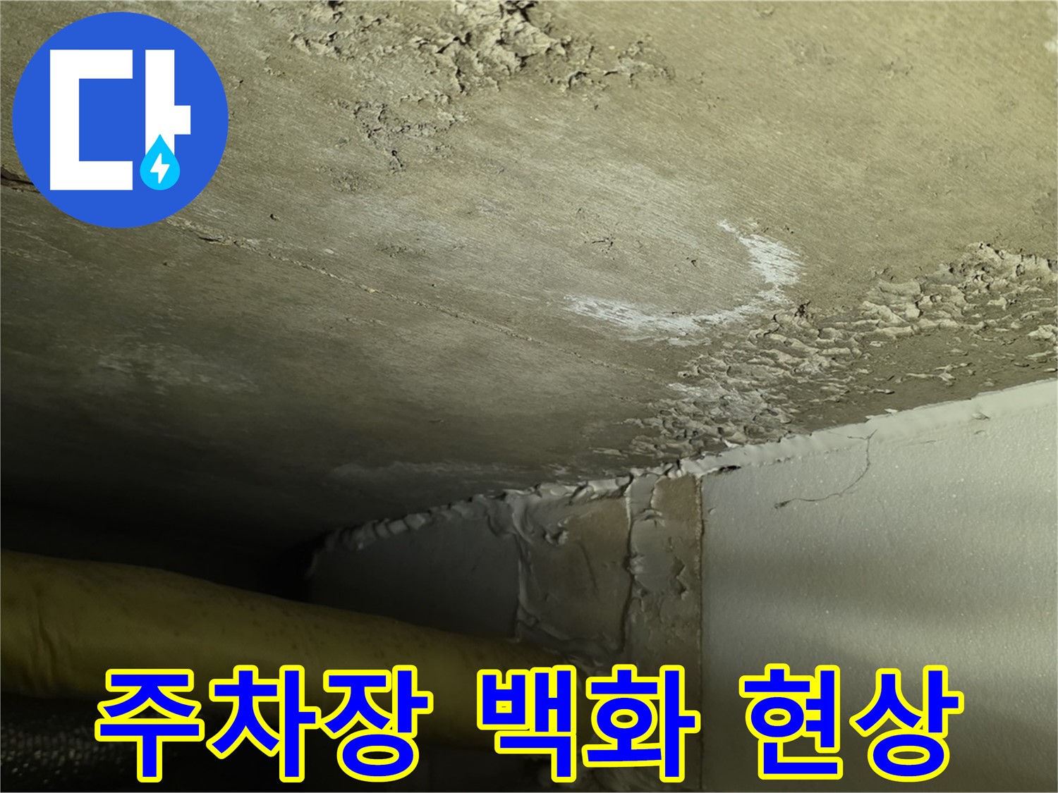 주차장 백화 현상 - 심각한 누수 - 구조적 문제 의심