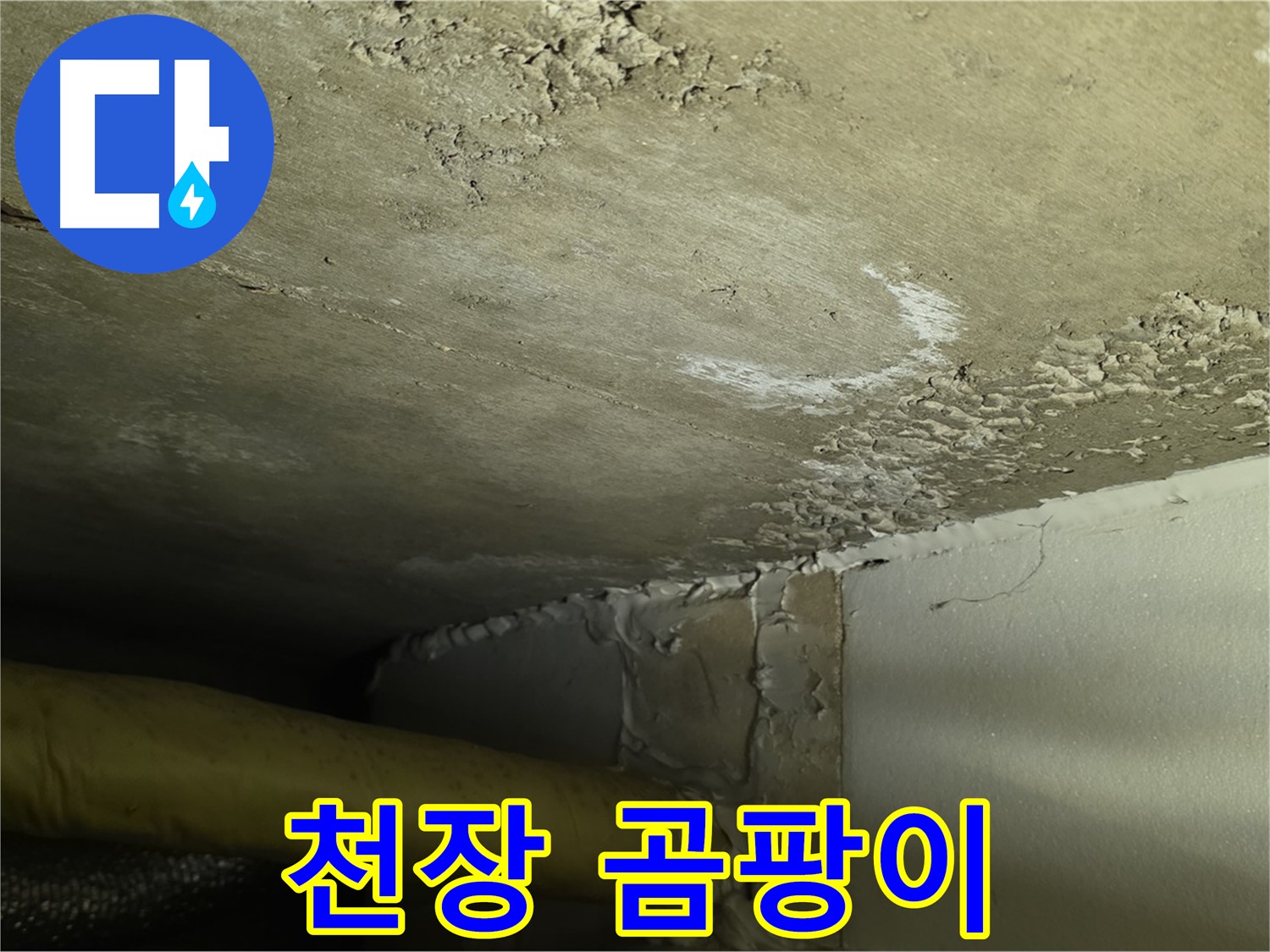 천장 곰팡이 - 건강 위협 - 철저한 제거 및 방지 필요