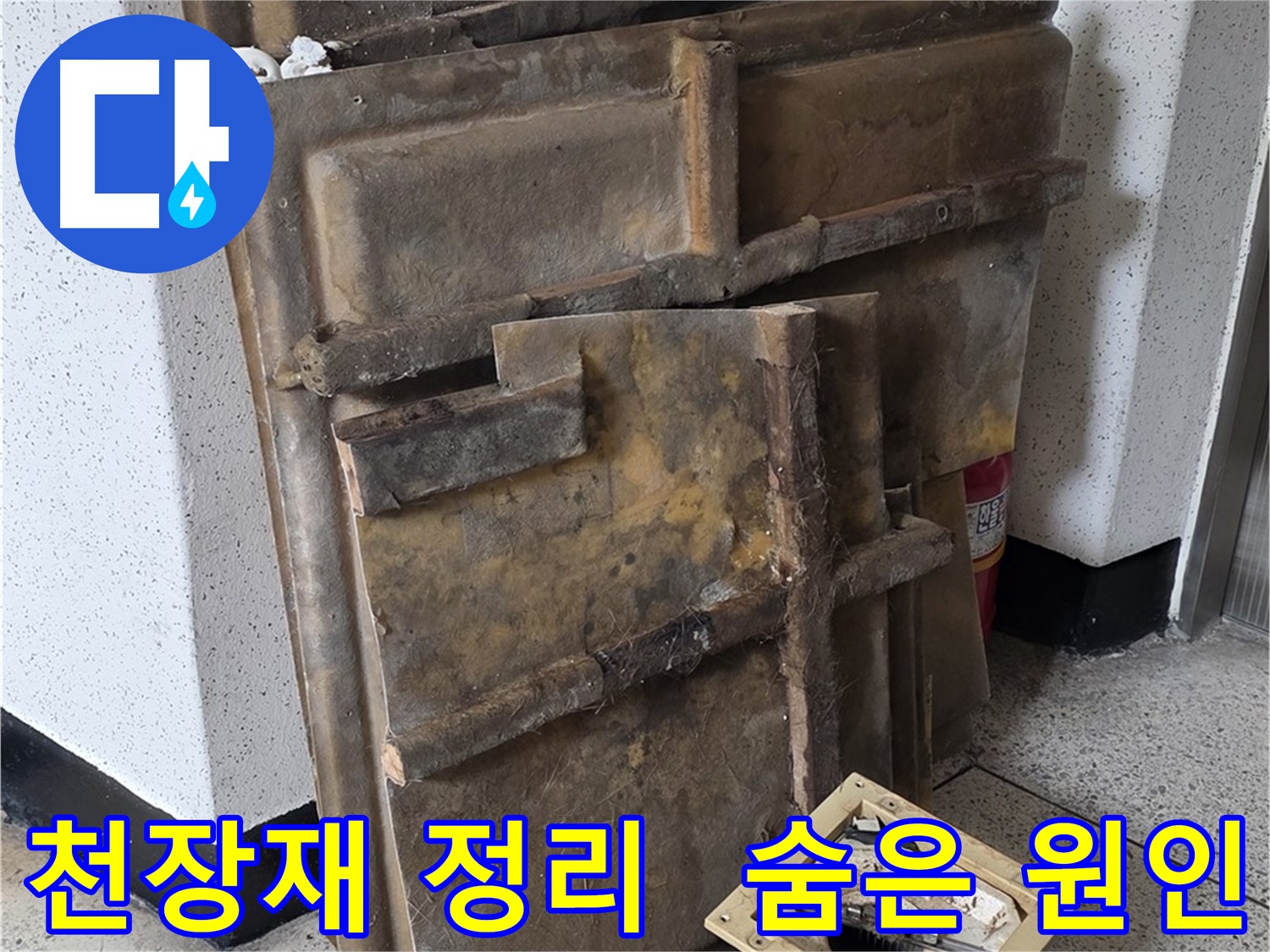 천장재와 조명 치워두고 숨겨진 누수 원인 찾기!