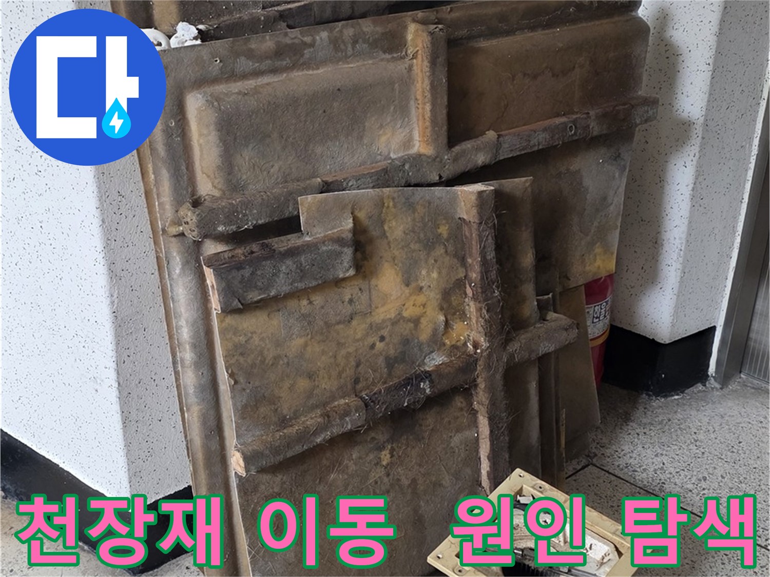 천장재와 조명 한쪽으로 옮기고 누수 원인 탐색