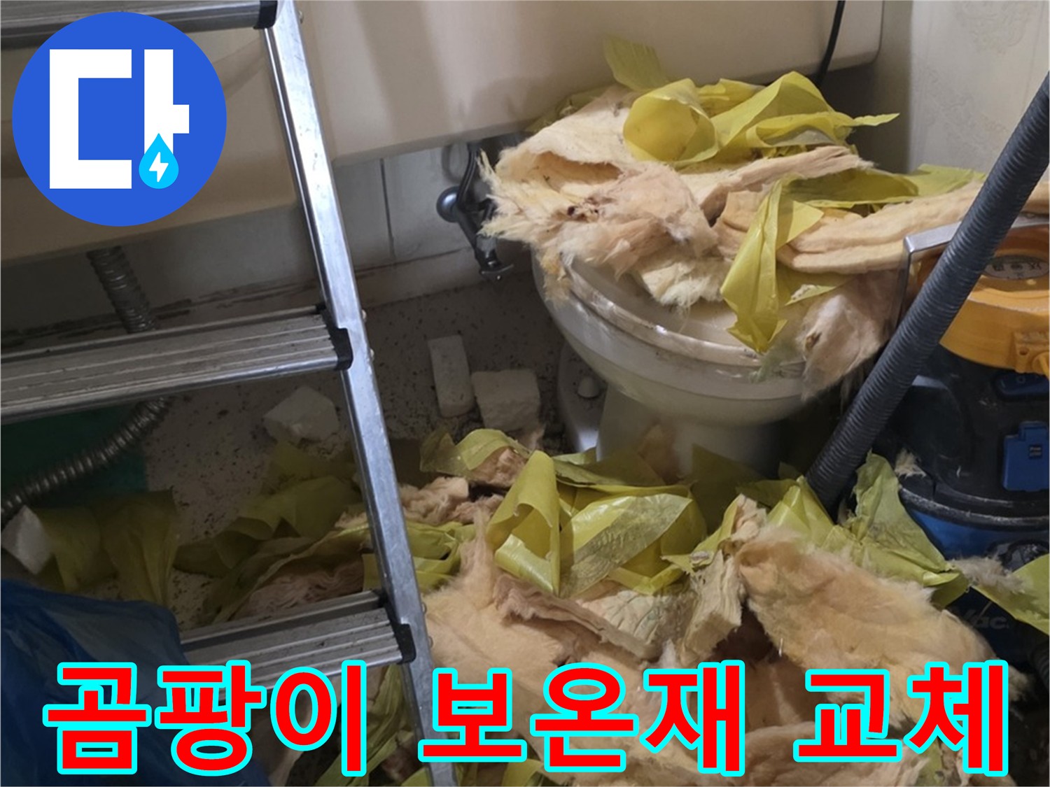 곰팡이 득실거리는 보온재 - 은평구 신사동 누수 현장