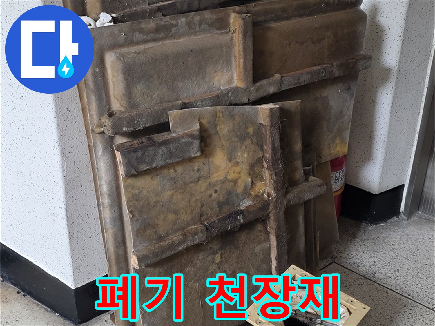 폐기 처리 기다리는 천장재와 조명 - 곰팡이 포자 확산 우려