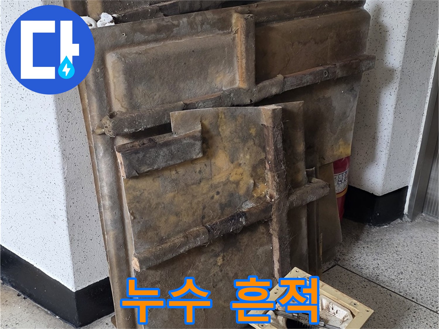 폐기될 석고보드 - 누수 흔적과 곰팡이 조명