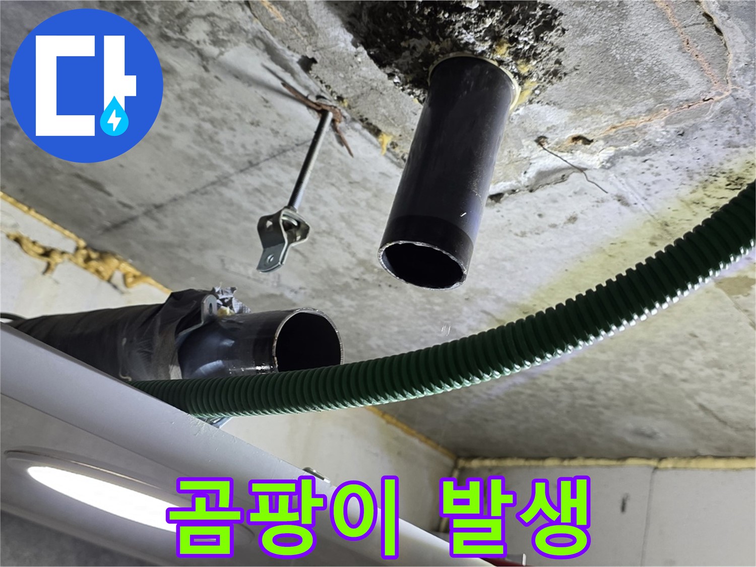 광명 푸르지오센트베르 누수 - 천장 배관 연결 부위 주변 곰팡이 발생