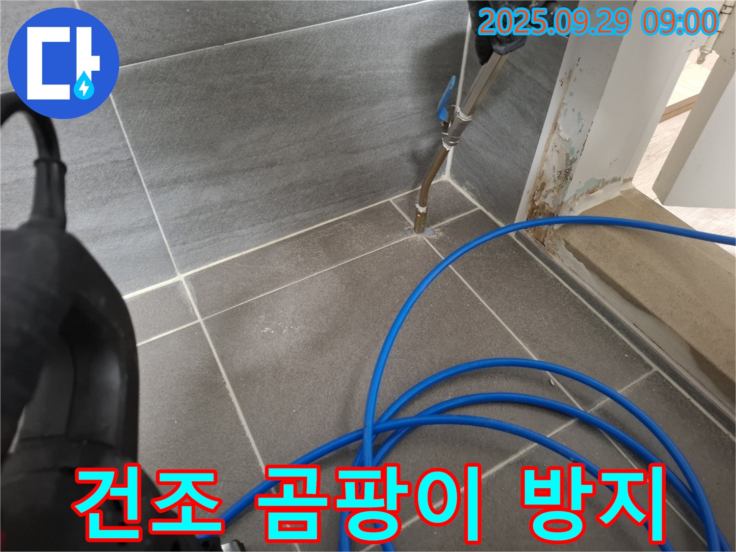 고온 건조 곰팡이 방지 - 곰팡이 발생을 억제하고, 쾌적한 환경을 유지합니다.