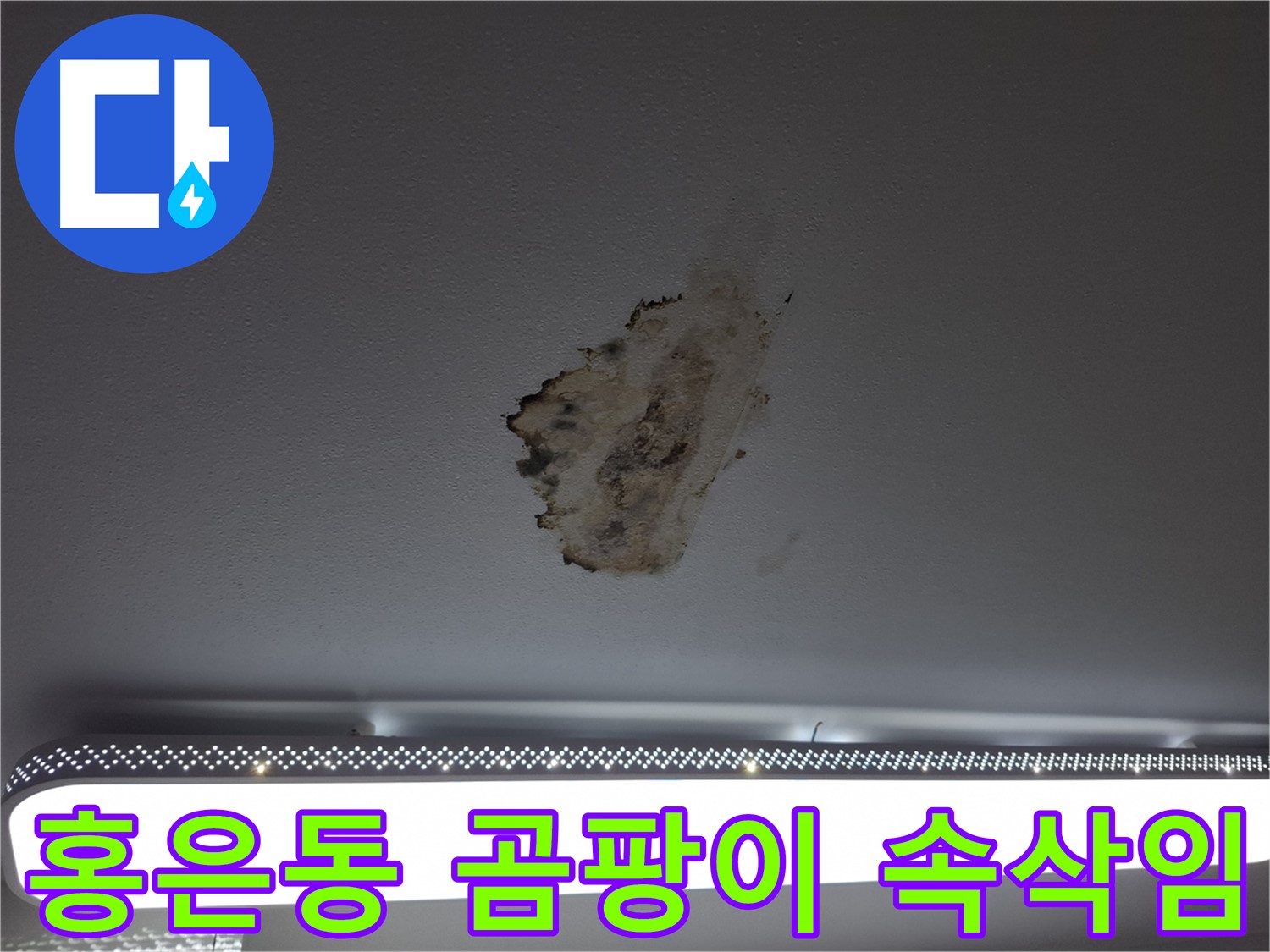 곰팡이 천장 - 괴로운 속삭임입니다